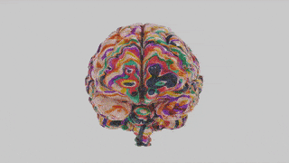 ezgif.com-optimize