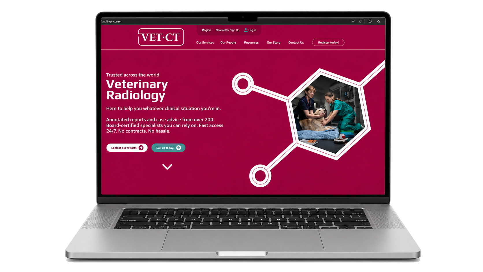 vetct case study showcase